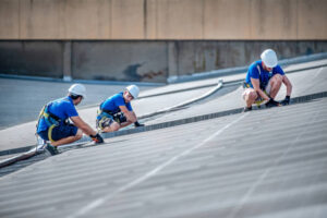 istockphoto 1798416289 612x612 1