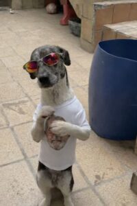 WhatsApp Image 2026 02 06 at 1.53.12 PM