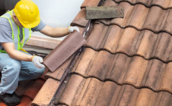 istockphoto 2167217177 612x612 1