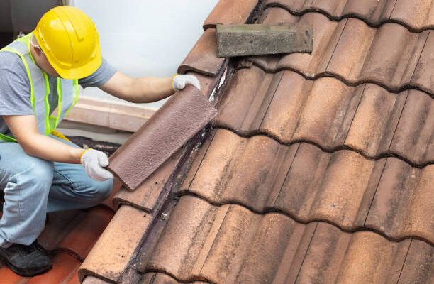 istockphoto 2167217177 612x612 1