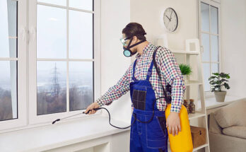 istockphoto 2212239089 612x612 1