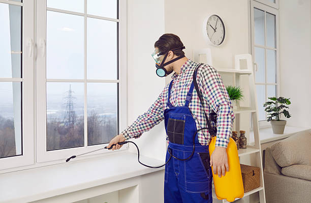 How Much Does Pest Control Cost in 2025?