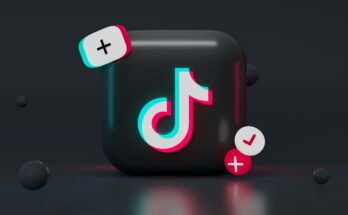 mariia shalabaieva 5NZJLNuBYyA unsplash min