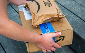 istockphoto 2217045009 612x612 1