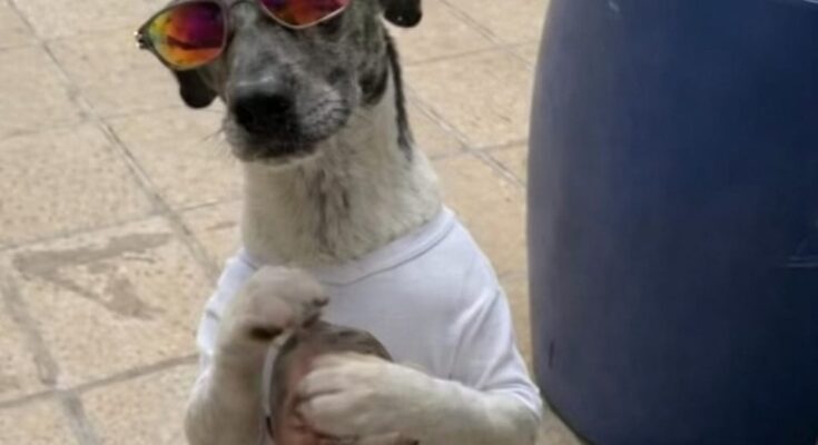 WhatsApp Image 2026 02 06 at 1.53.12 PM e1770369975527