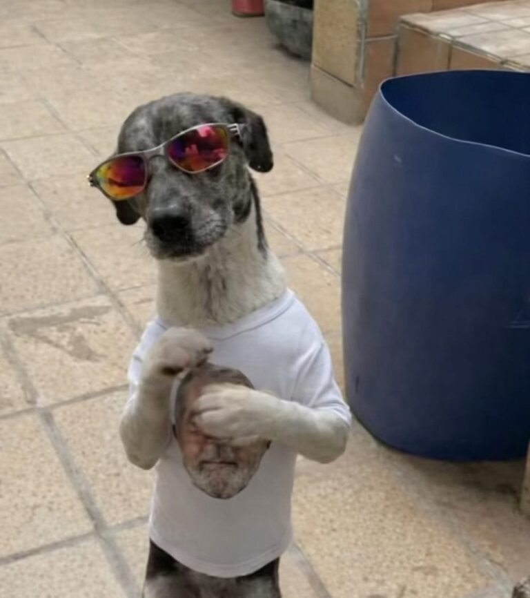 How to Create a Viral AI Dance Video Using Just One Photo